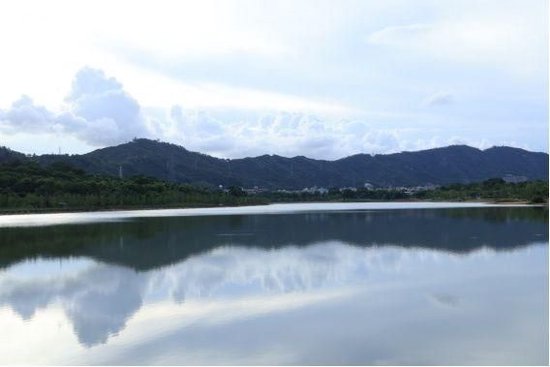 风景秀丽的九围国际总部区